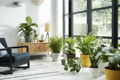 Bloempot Elho B.for Original Rond 25cm - Warm Grijs -Biezen Winkel bfor original rond 25cm bloempot warm grijs 7 17