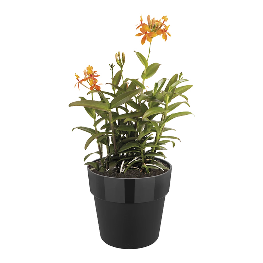 Bloempot Elho B.for Original Rond 30cm - Living Black - Afbeelding 2