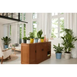 Bloempot Elho B.for Original Rond 25cm - Duifblauw -Biezen Winkel bfor original rond bloempot duifblauw 4 1