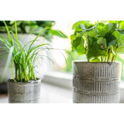 Bloempot Denise - D17 X H17cm - Off White -Biezen Winkel bloempot denise d17 x h17cm off white bloempot 3