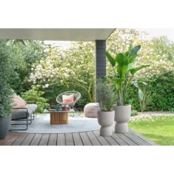 Bloempot Elho Pure Coupe - D35 X H49cm - Beige -Biezen Winkel bloempot elho pure coupe d35 x h49cm beige bloempot beige 5 1