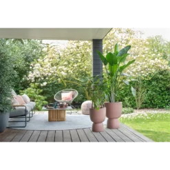 Bloempot Elho Pure Coupe - D35 X H49cm - Rose -Biezen Winkel bloempot elho pure coupe d35 x h49cm rose bloempot roze 5