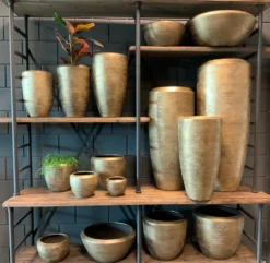 Plantenschaal Kos - D45 X H20cm - Goud -Biezen Winkel bloempot kos serie goud bloempot 3 1 7