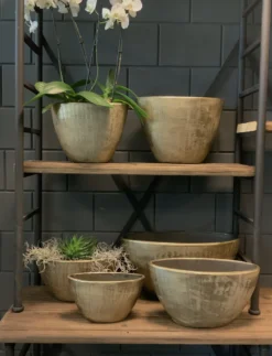 Bloempot Kos Ovaal - L39 X B20 X H31cm - Goud -Biezen Winkel bloempot kos serie ovaal goud bloempot 3 1