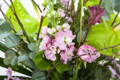 Boeket Anthurium Groot 8 Boeket Anthurium Groot -Biezen Winkel boeket anthurium boeketten 3 2