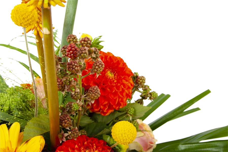 Boeket Beatrix Klein 3 Boeket Beatrix Klein - Afbeelding 3