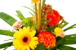 Boeket Beatrix Klein 9 Boeket Beatrix Klein -Biezen Winkel boeket beatrix boeketten 4 3 2