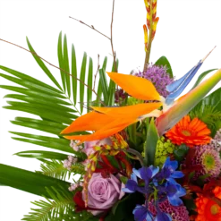 Boeket Deluxe Special Voor Jou Klein 7 Boeket Deluxe Special Voor Jou Klein -Biezen Winkel boeket deluxe special voor jou boeketten 3 1