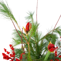 Boeket Deluxe Winter Groot -Biezen Winkel boeket deluxe winter boeketten 3 1 2