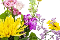 Boeket Eline Klein -Biezen Winkel boeket eline boeketten 3