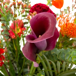 Boeket Herfst Warmte Klein -Biezen Winkel boeket herfst warmte klein boeketten 4