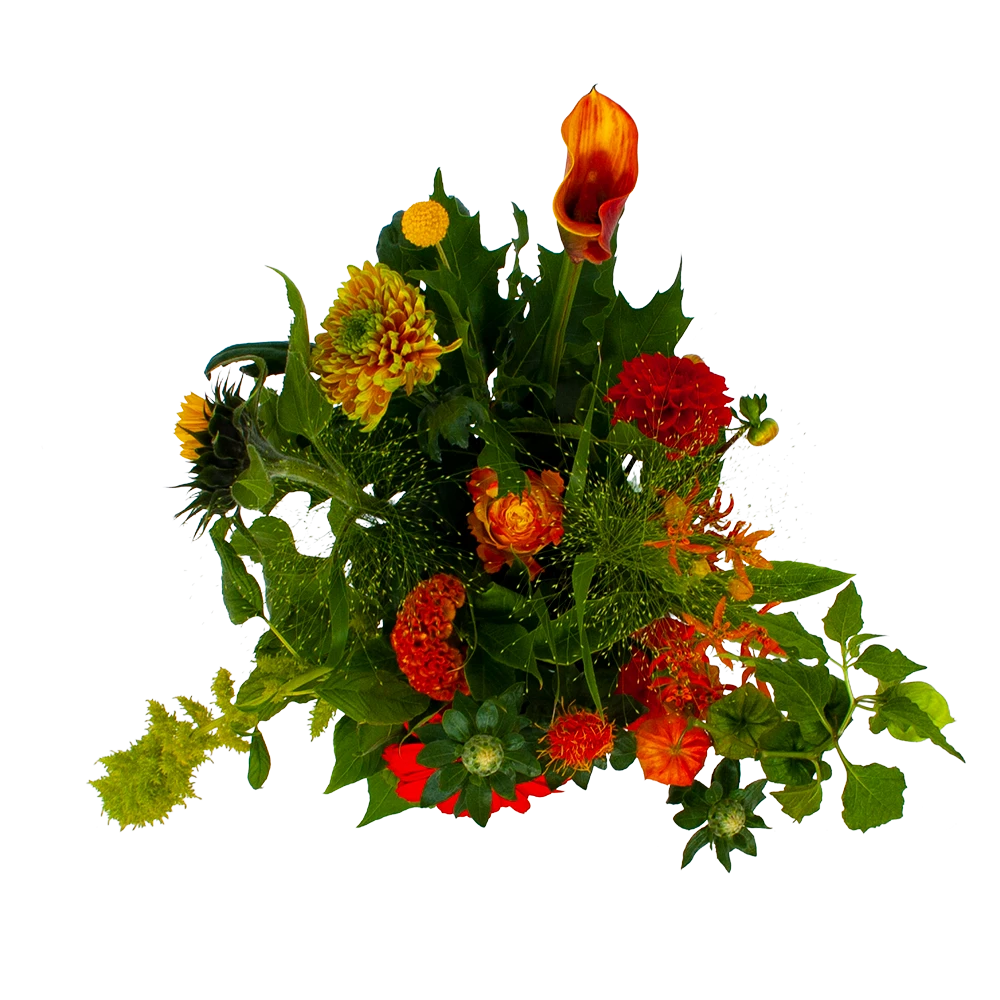 Boeket Herfst Uit Het Veld Groot 2 Boeket Herfst Uit Het Veld Groot - Afbeelding 2