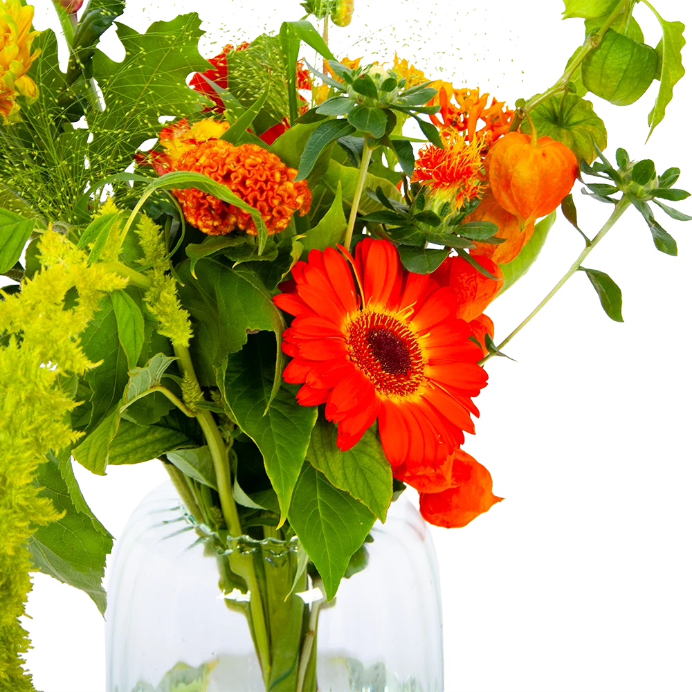 Boeket Herfst Uit Het Veld Klein 3 Boeket Herfst Uit Het Veld Klein - Afbeelding 3