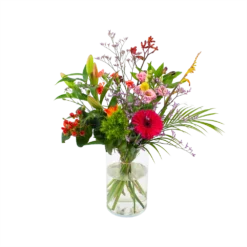 Boeket Kleurrijk Geplukt Middel