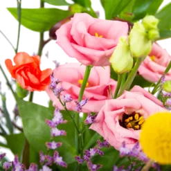 Boeket Kleurrijk Geplukt Klein -Biezen Winkel boeket kleurrijk geplukt boeketten 3 1