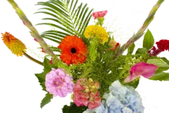 Boeket Lach Klein 8 Boeket Lach Klein -Biezen Winkel boeket lach boeketten 3 1