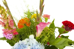 Boeket Lach Klein 9 Boeket Lach Klein -Biezen Winkel boeket lach boeketten 4 1