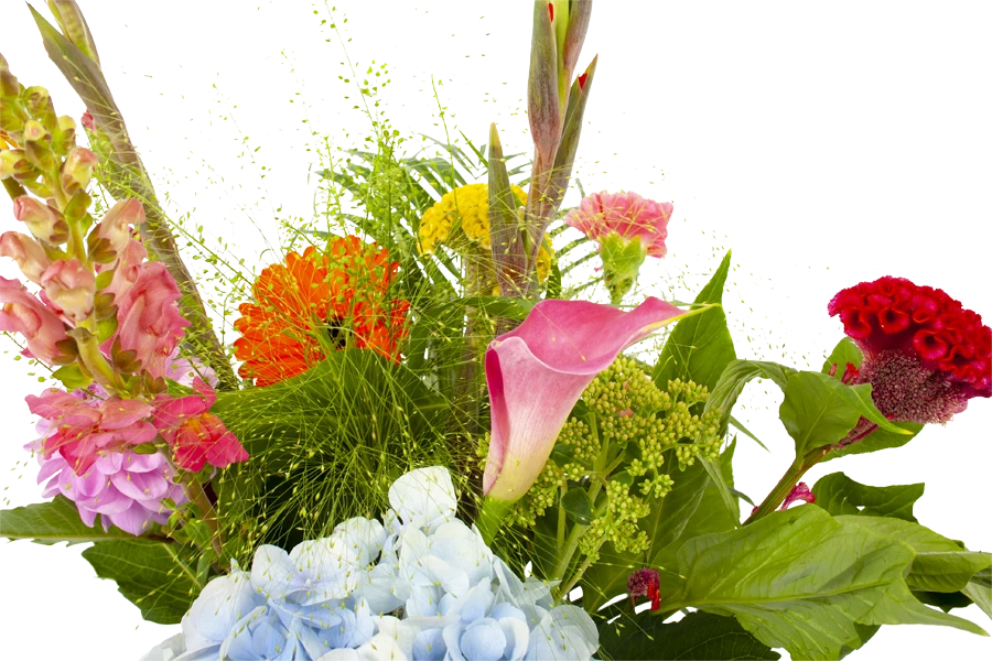 Boeket Lach Klein 4 Boeket Lach Klein - Afbeelding 4