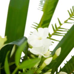 Boeket Liefdevolle Winter Groot -Biezen Winkel boeket liefdevolle winter boeketten 3