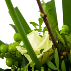 Boeket Liefdevolle Winter Groot -Biezen Winkel boeket liefdevolle winter boeketten 4