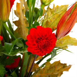 Boeket Pluim Van Het Najaar Middel -Biezen Winkel boeket pluim van het najaar middel boeketten 3