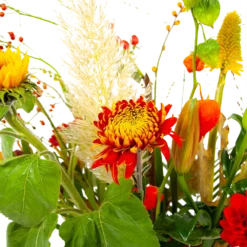 Boeket Pluim Van Het Najaar Middel -Biezen Winkel boeket pluim van het najaar middel boeketten 4