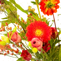 Boeket Plukgeluk Groot -Biezen Winkel boeket plukgeluk groot boeketten 3