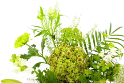 Boeket Puur Natuur Groot -Biezen Winkel boeket puur natuur boeketten 4 1 2