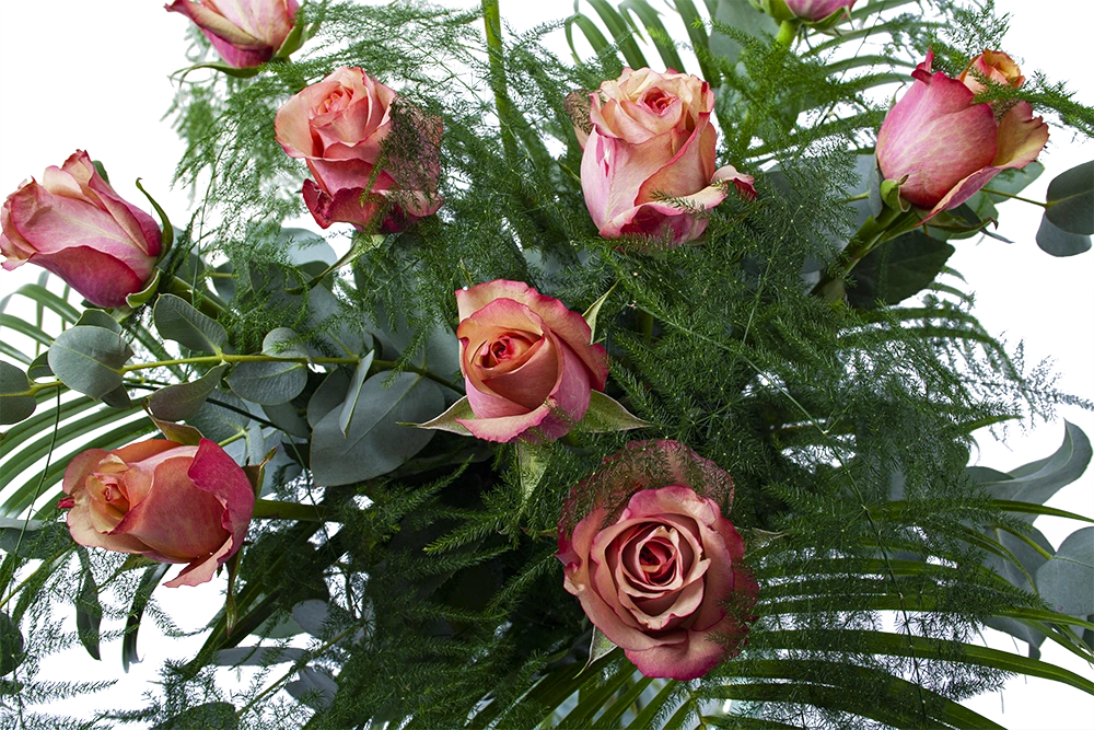 Boeket Rosa Roze Middel 3 Boeket Rosa Roze Middel - Afbeelding 3