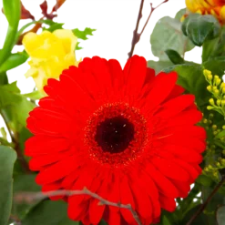 Boeket Speciale Verrassing Middel -Biezen Winkel boeket speciale verrassing boeketten 3