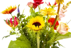 Boeket Vlinder Middel -Biezen Winkel boeket vlinder boeketten 3 3 1