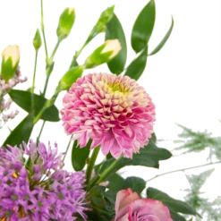 Boeket Vrolijke Verrassing Klein -Biezen Winkel boeket vrolijke verrassing boeketten 3