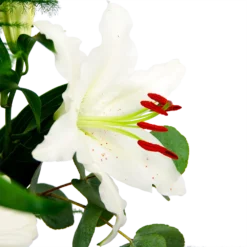 Boeket Witte Winter Klein -Biezen Winkel boeket witte winter boeketten 4