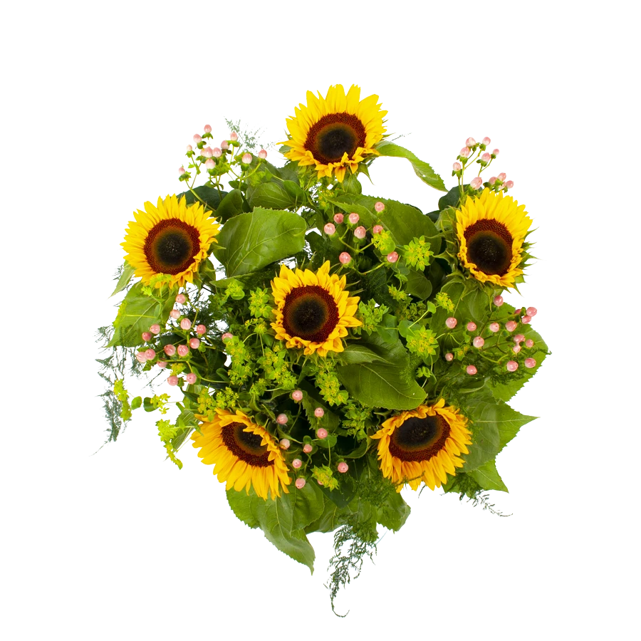 Boeket Zonnestraal Groot 2 Boeket Zonnestraal Groot - Afbeelding 2