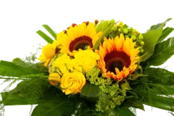Boeket Zonnetje Groot -Biezen Winkel boeket zonnetje boeketten 3 1 2