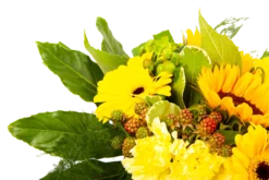 Boeket Zonnetje Klein 9 Boeket Zonnetje Klein -Biezen Winkel boeket zonnetje boeketten 4 1 1