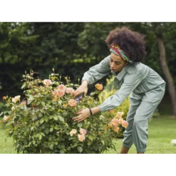 Comfort Snoeischaar - Gardena -Biezen Winkel comfort snoeischaar gardena 3 7