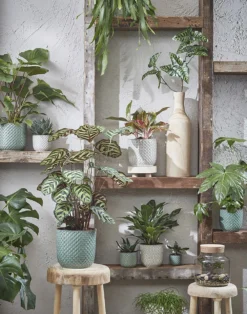 Bloempot Daan - D21.5 X H20.5cm - Blauw -Biezen Winkel daan pot rond blauw h20 5xd21 5cm bloempot 7 7