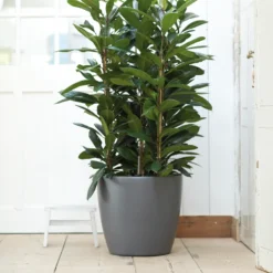 Bloempot Elho Brussels Rond 47cm - Met Wielen - Antraciet 5 Bloempot Elho Brussels Rond 47cm - Met Wielen - Antraciet -Biezen Winkel elho brussels rond wielen 47 grijs bloempot 7 7