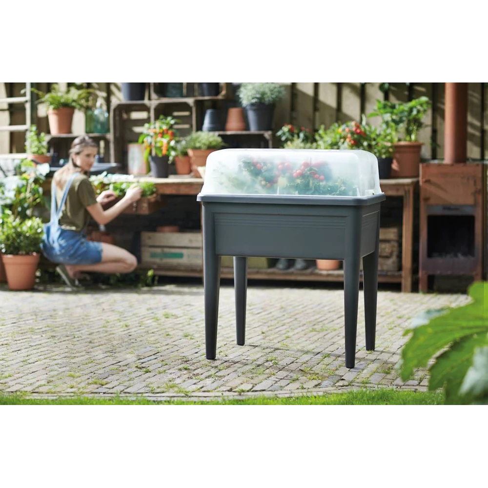 Elho Green Basics Kweekhuis XXL 75cm - Transparant 5 Elho Green Basics Kweekhuis XXL 75cm - Transparant - Afbeelding 5