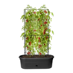 Elho Green Basics Veggie Wall 80cm - Living Black 10 Elho Green Basics Veggie Wall 80cm - Living Black -Biezen Winkel elho green basics veggie wall 80cm living black 5