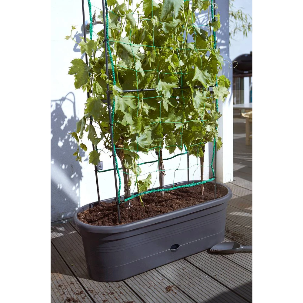 Elho Green Basics Veggie Wall 80cm - Living Black 6 Elho Green Basics Veggie Wall 80cm - Living Black - Afbeelding 6