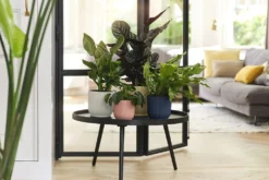 Bloempot Elho Vibes Fold Rond - D22 X H20cm - Zijdewit -Biezen Winkel elho vibes fold rond 22 wit d22 h20cm bloempot zijdewit 7 18