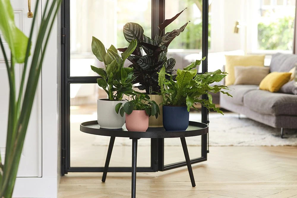 Bloempot Elho Vibes Fold Rond - D22 X H20cm - Zijdewit - Afbeelding 6