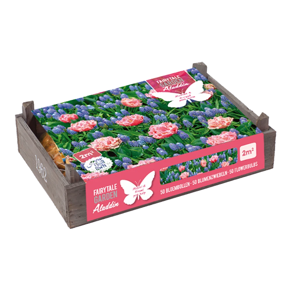 Flower Crate Aladdin - 50st - Bloembollen - Baltus 1 Flower Crate Aladdin - 50st - Bloembollen - Baltus