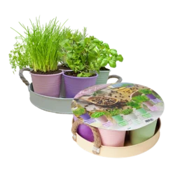 Herb Festival - 7 Potjes Kruiden - Pastel - Kruidenzaden - Baltus Zaden