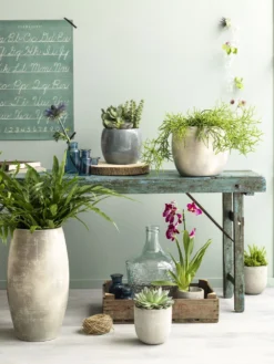 Bloempot Lester - D20 X H18cm - Lichtgrijs -Biezen Winkel lester pot rond lgrijs h18xd20cm bloempot 7 12