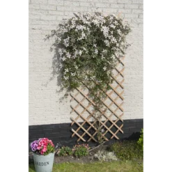 Nature - Houten Klimrek Naturel 100x200cm 5 Nature - Houten Klimrek Naturel 100x200cm -Biezen Winkel nature houten klimrek naturel 100x200cm 3 2
