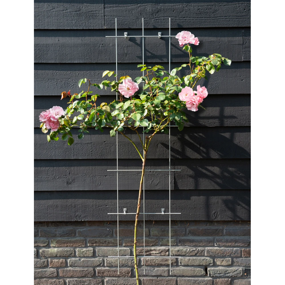 Nature - Metalen Klimrek Geplastificeerd Grijs H145x42,5cm 2 Nature - Metalen Klimrek Geplastificeerd Grijs H145x42,5cm - Afbeelding 2