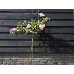 Nature - Metalen Klimrek Geplastificeerd Grijs H145x42,5cm 6 Nature - Metalen Klimrek Geplastificeerd Grijs H145x42,5cm -Biezen Winkel nature metalen klimrek geplastificeerd grijs h145x42 5cm 3 2